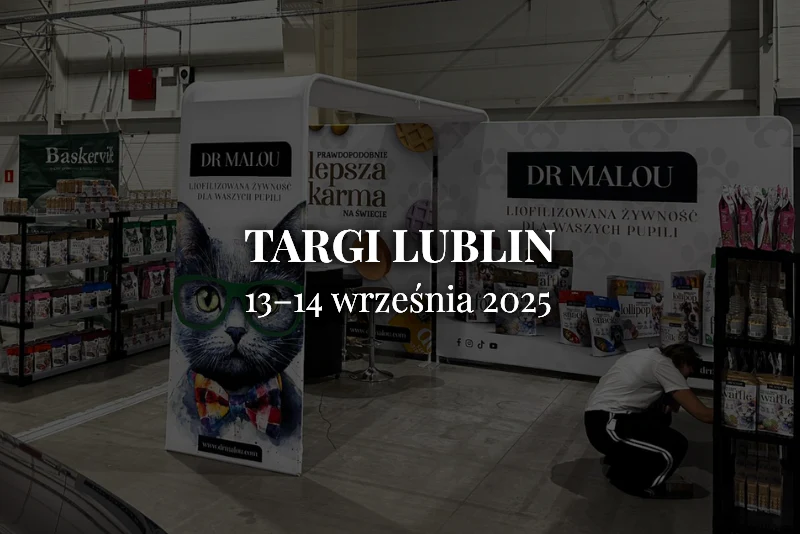 Światowa wystawa Kotów Rasowych w Lublinie - International Cat Club IBSCC (13–14 września 2025)