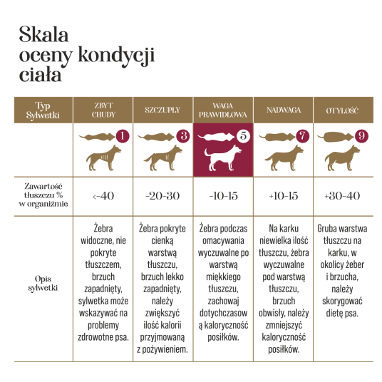 Kaczka z dynią 10g-PIES- Adult Dog liofilizowana karma pełnoporcjowa