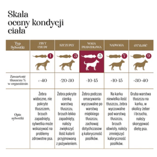 Kaczka z dynią 500G- PIES-Adult Dog liofilizowana karma pełnoporcjowa