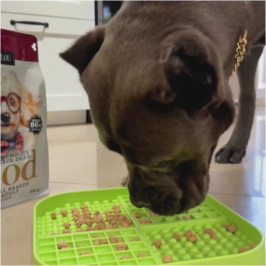 Kaczka z dynią 500G- PIES-Adult Dog liofilizowana karma pełnoporcjowa