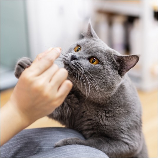 Kaczka z jagnięciną 500g- KOT KARMA- Adult Cats liofilizowana karma pełnoporcjowa -zdjęcie numer 7