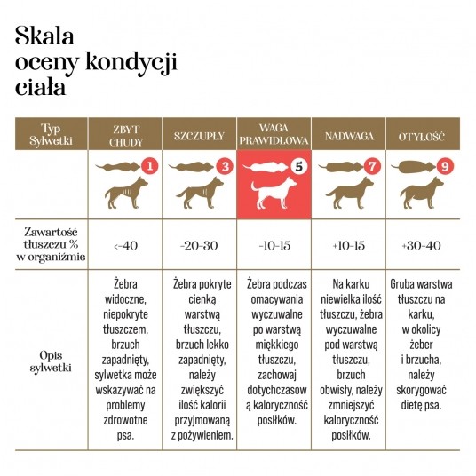Kaczka z królikiem 10g-PIES-Adult dog liofilizowana karma pełnoporcjowa -zdjęcie numer 2