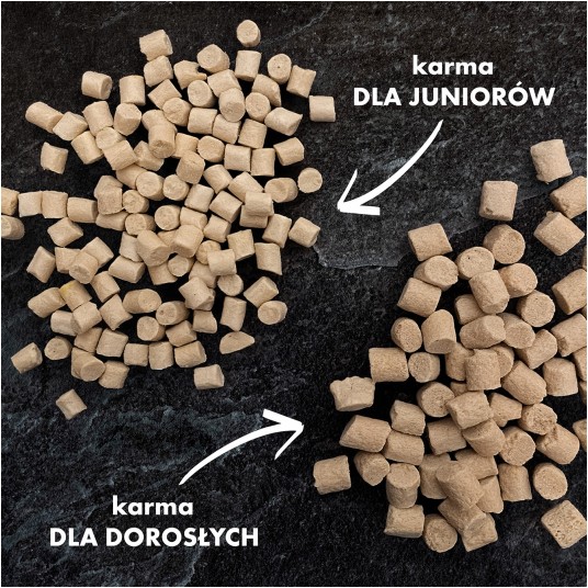 Kitten -kurczak z kozim mlekiem i żółtkiem 500 g-KOT-karma liofilizowana pełnoporcjowa