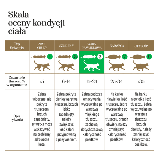 Kurczak z łososiem 10g-KOT- Adult Cats liofilizowana karma pełnoporcjowa