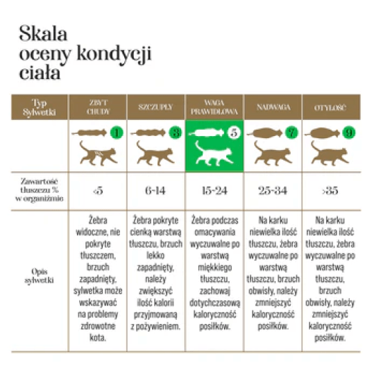 Kurczak z łososiem 500G - KOT KARMA-Adult Cats liofilizowana karma pełnoporcjowa