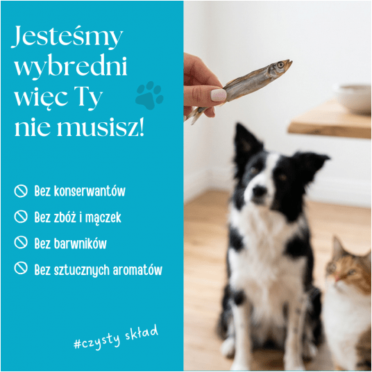 Rybki- 100% liofilizowany Kapelan (Gromadnik) 80 g- Karma uzupełniająca dla psów i kotów -zdjęcie numer 4
