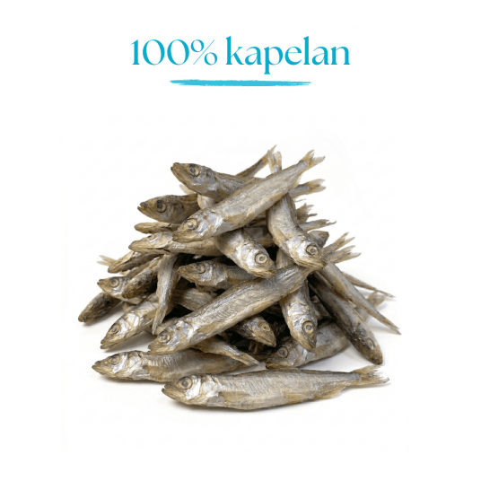 Rybki- 100% liofilizowany Kapelan (Gromadnik) 80 g- Karma uzupełniająca dla psów i kotów -zdjęcie numer 3