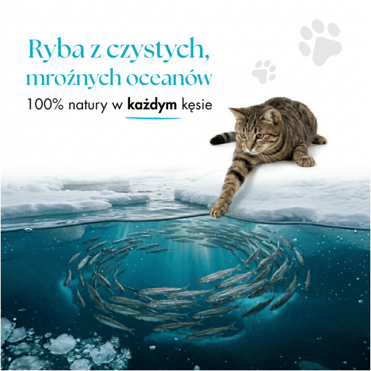 Rybki- 100% liofilizowany Kapelan (Gromadnik) 80 g- Karma uzupełniająca dla psów i kotów -zdjęcie numer 7