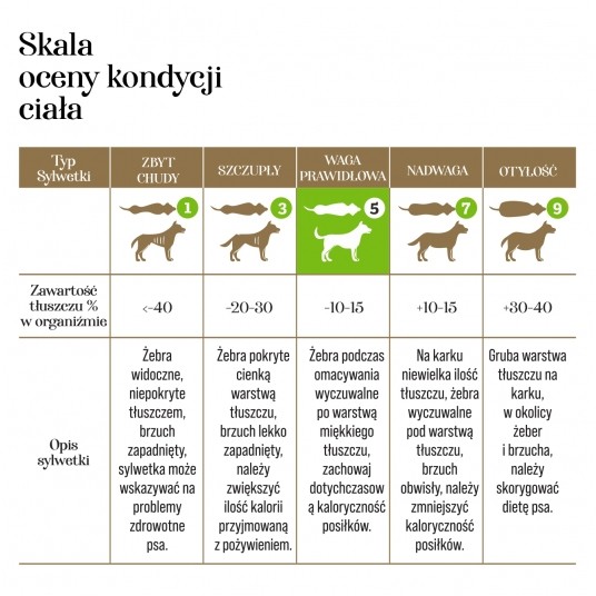 Zupka kaczka z brokułem 10 szt. - pełnoporcjowa karma dla psów -zdjęcie numer 5