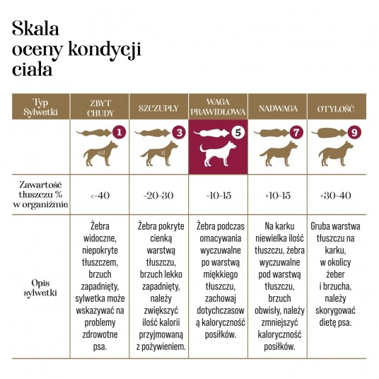 Zupka kaczka z dynią 10 szt.- pełnoporcjowa karma dla psów -zdjęcie numer 9