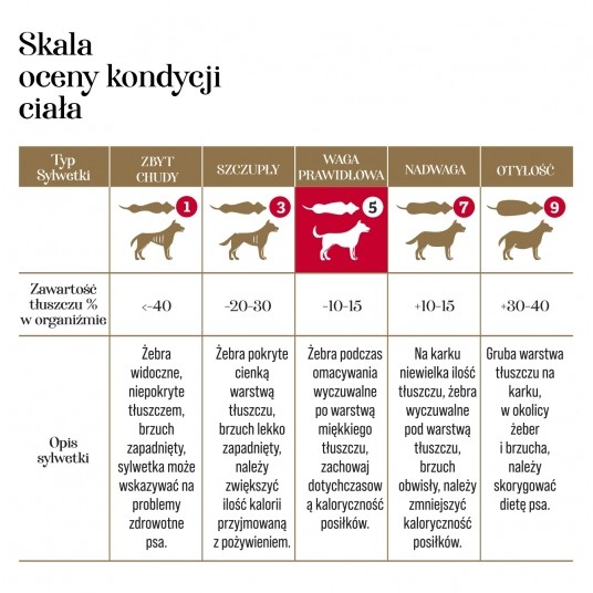 Zupka kaczka z żurawiną 10 szt.- pełnoporcjowa karma dla psa -zdjęcie numer 10