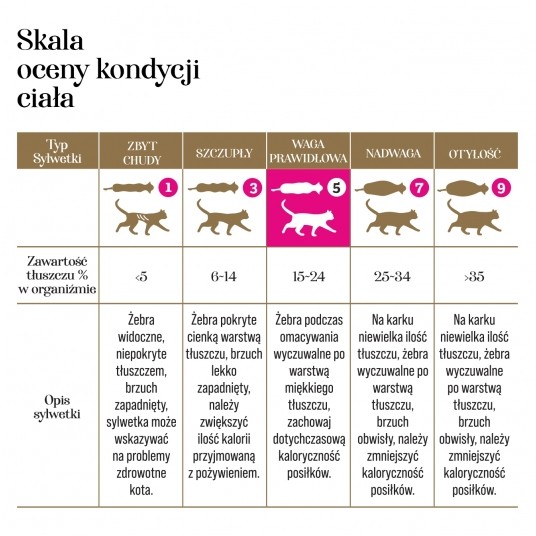 Zupka kurczak z żurawiną 10 szt. - pełnoporcjowa karma dla kotów -zdjęcie numer 8